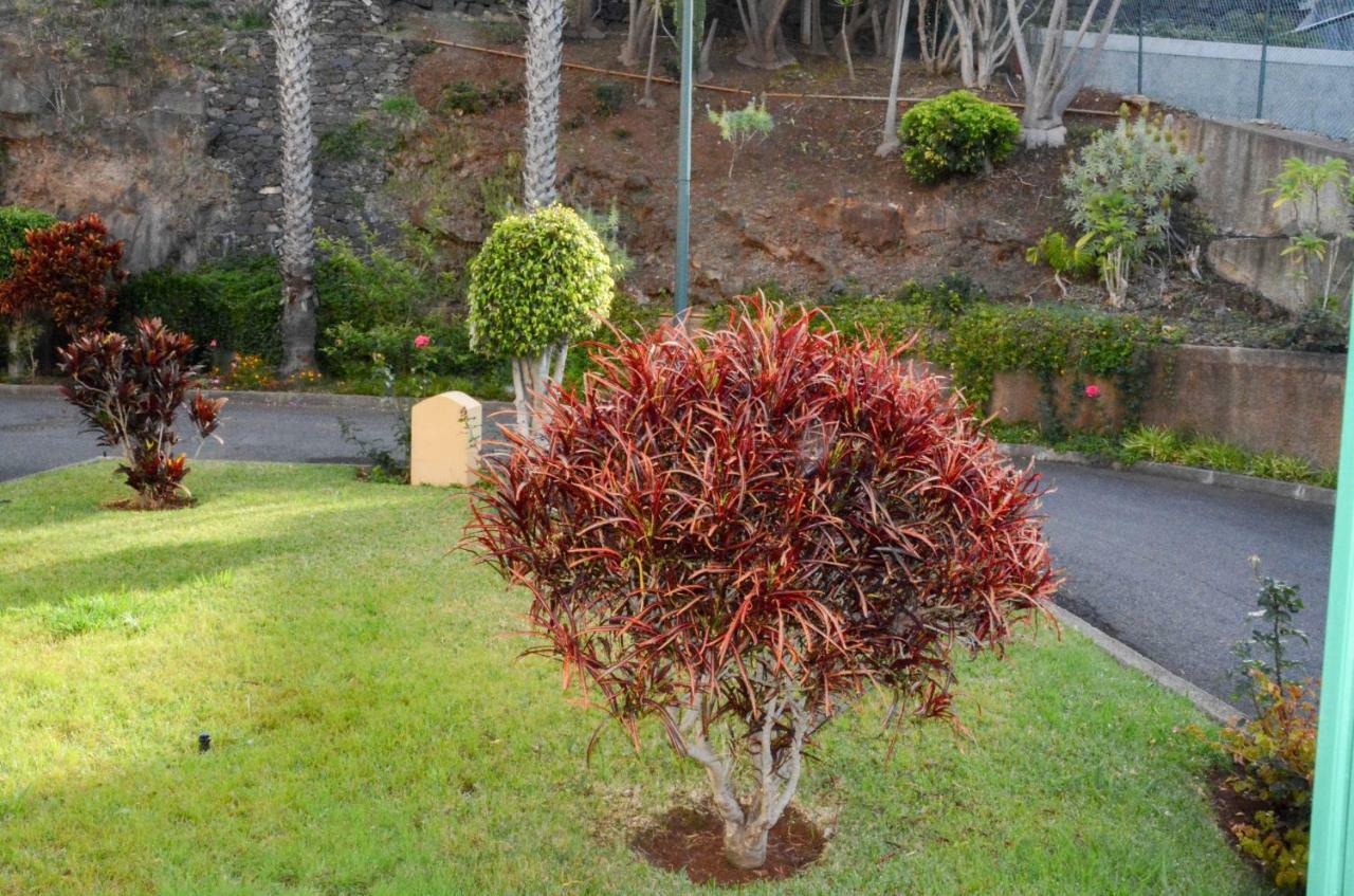 Appartamento Vista Formosa Funchal Esterno foto